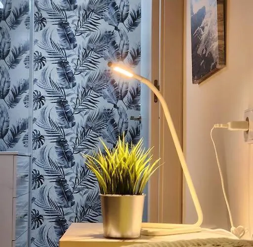 Apartman Piso De Diseno Elche